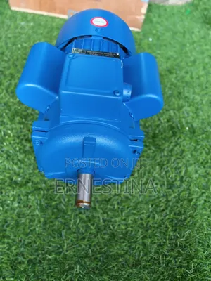 Electric Fufu Pounding Motor