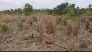 Registered Land for Sale at the Onion Market on the Accra-Akotsi Road