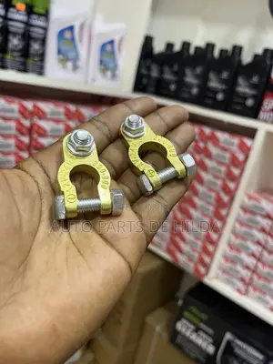 Battery Terminals 12v/24v