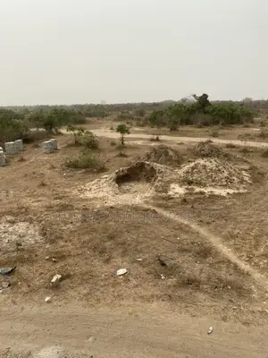 High-Demand Afienya Residential Plots (Lands for Sale)