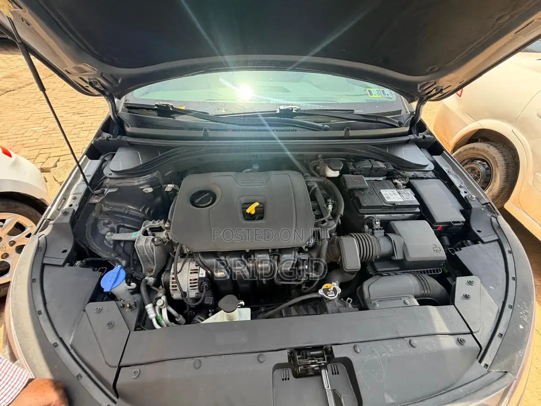 Hyundai Elantra Limited 2020 Gray