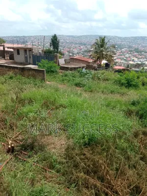 Two Plots of Titled Land at McCarthy Hills