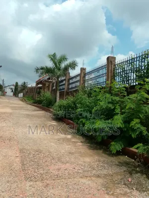 Two Plots of Titled Land at McCarthy Hills
