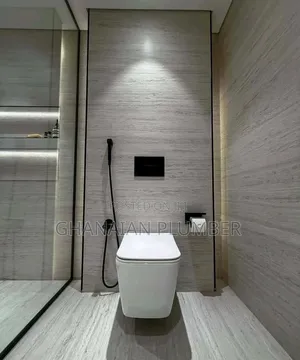 Professional Plumber With Great Expertise