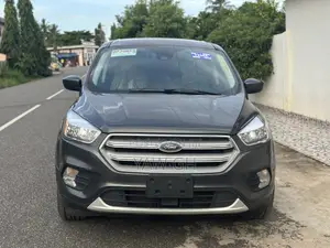 Ford Escape 2019 Gray