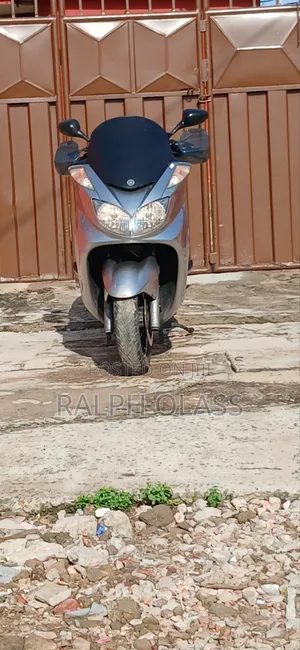 Yamaha Majesty 2010 Gray