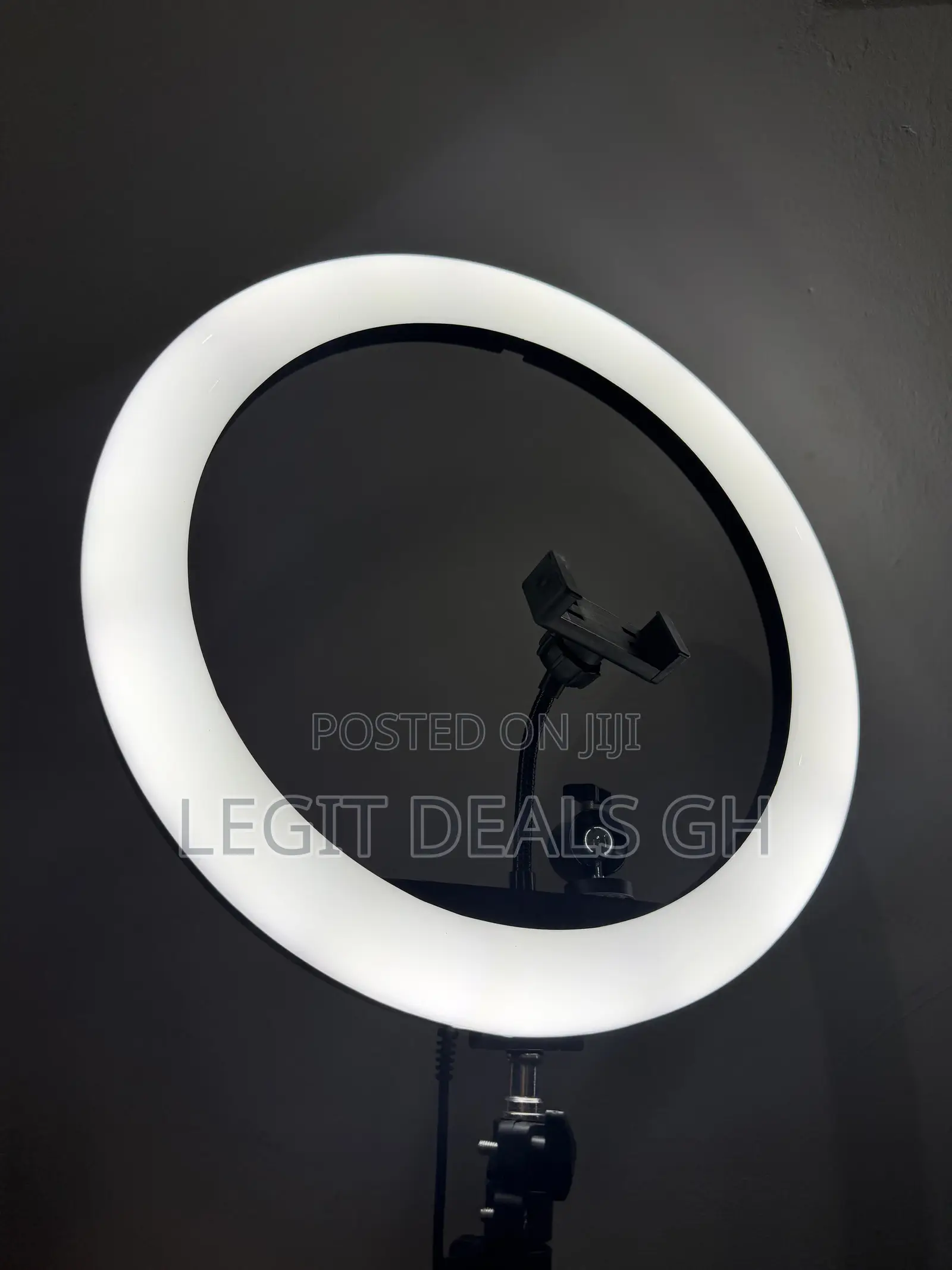 Ring Light With Adjustable Stand