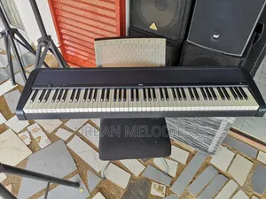 The Korg B1 Digital Piano