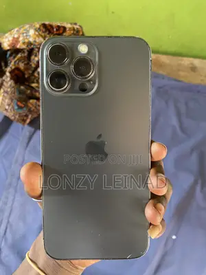 Apple iPhone 13 Pro Max 256 GB Gray