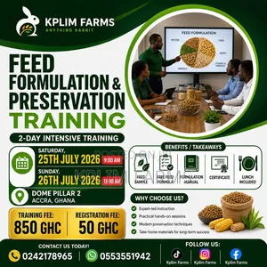 Rabbit Feed Training