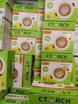 C-Torch Ceiling Lights