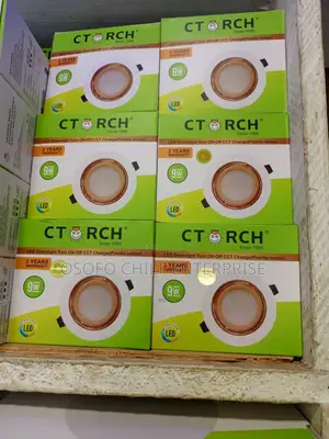 C-Torch Ceiling Lights