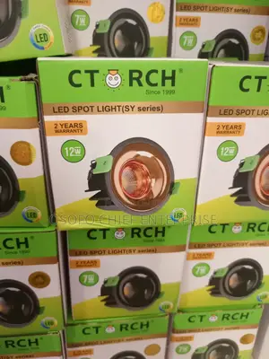 C-Torch Ceiling Lights