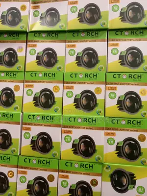 C-Torch Ceiling Lights