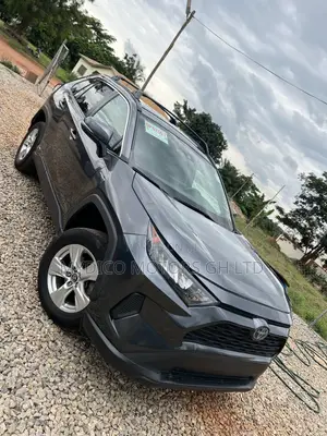 Toyota RAV4 LE AWD 2020 Gray