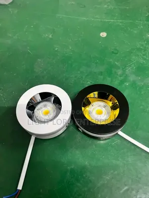 Eye Double Sided Spot Light