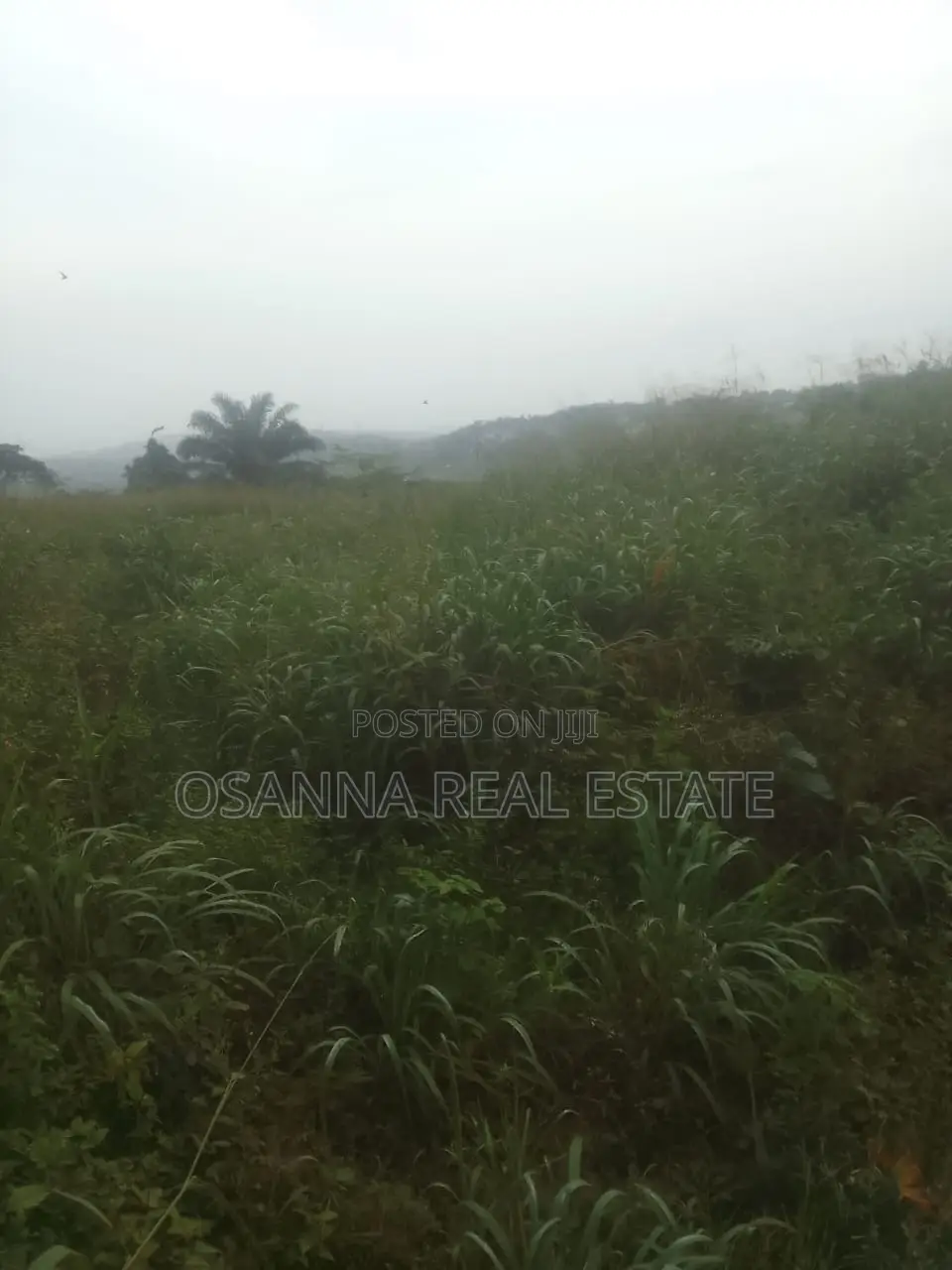 10 Acres of Land for Sale at Kasoa Main Road