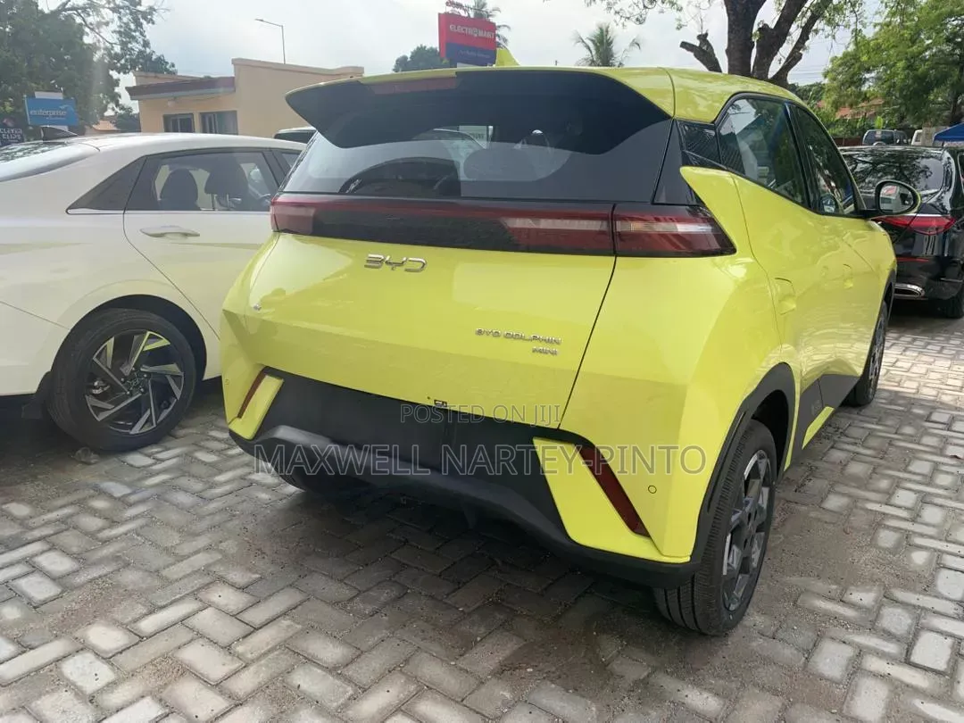 New BYD Seagull 2025 Green