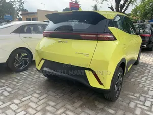 New BYD Seagull 2025 Green