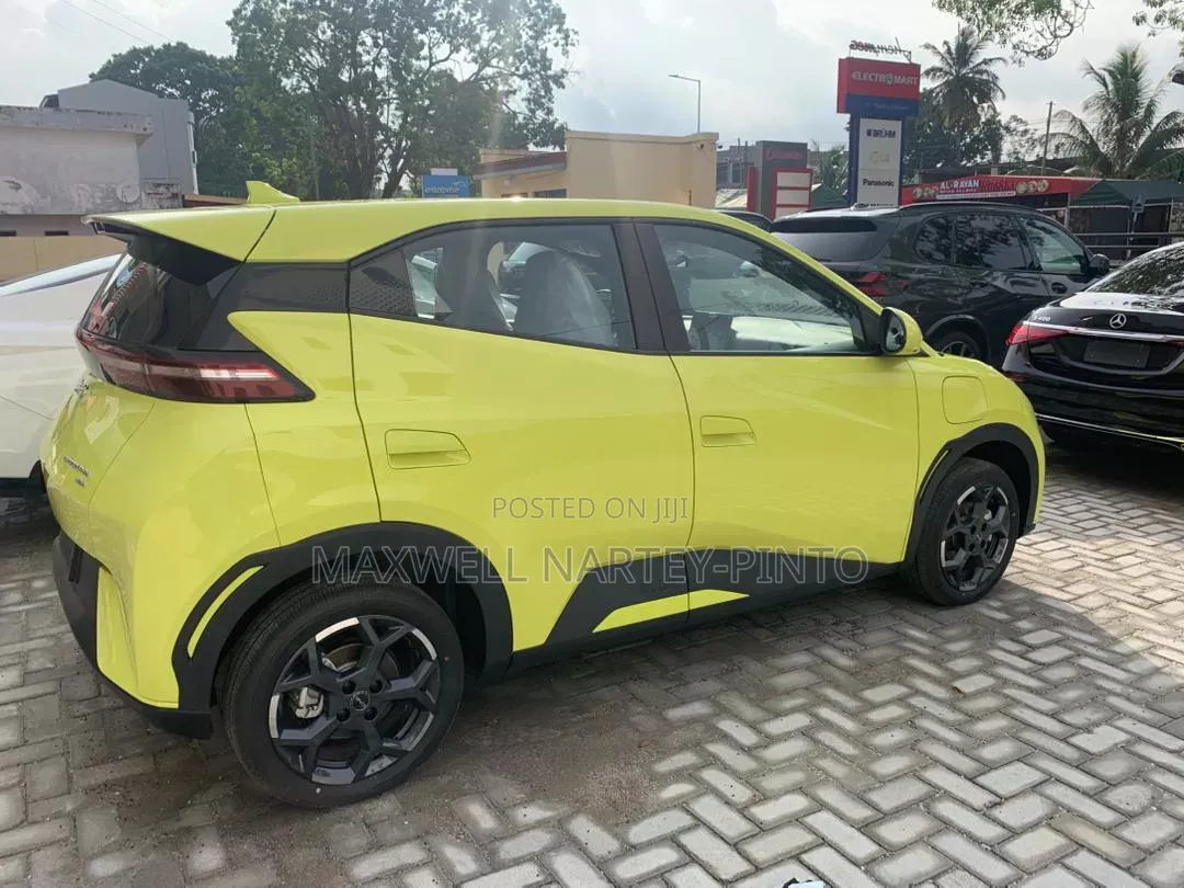 New BYD Seagull 2025 Green