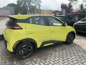 New BYD Seagull 2025 Green