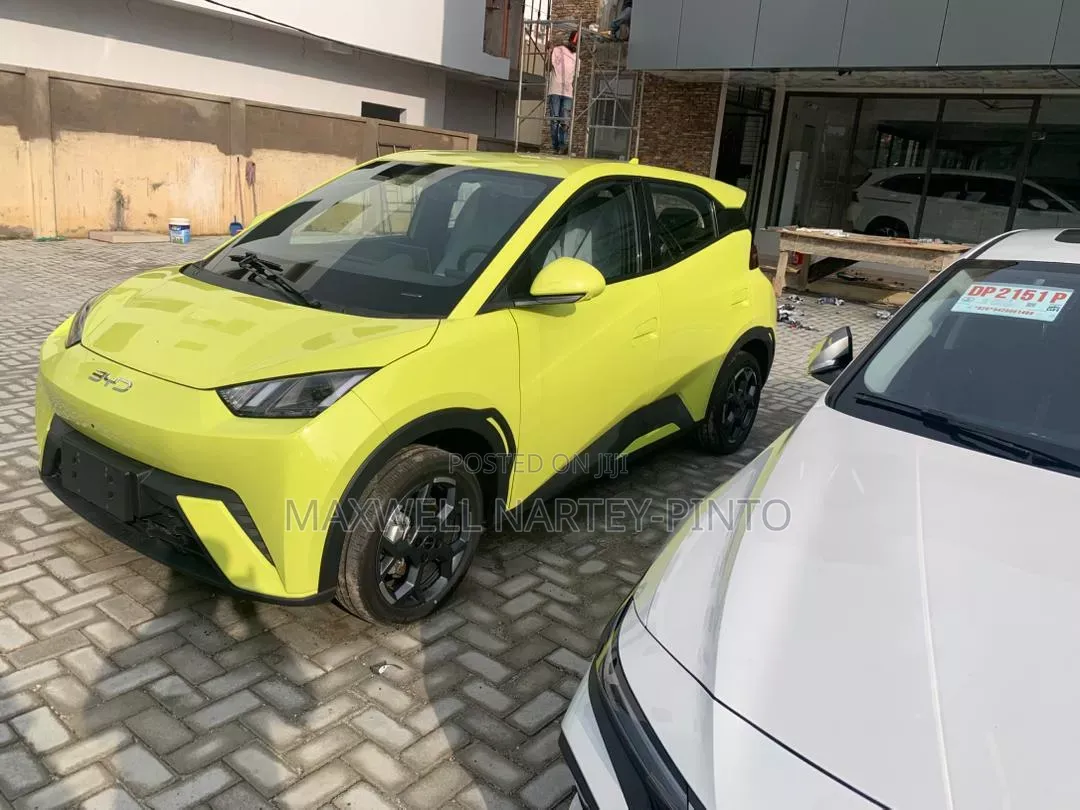 New BYD Seagull 2025 Green