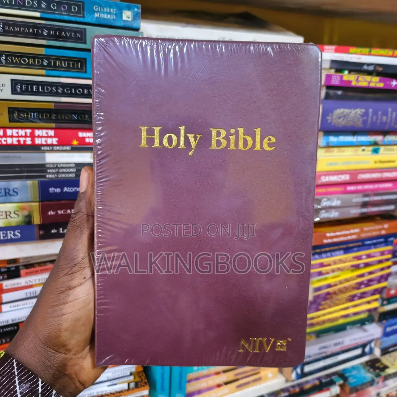 Niv Holy Bible
