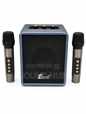 Portable Wireless Speaker With Two Mics