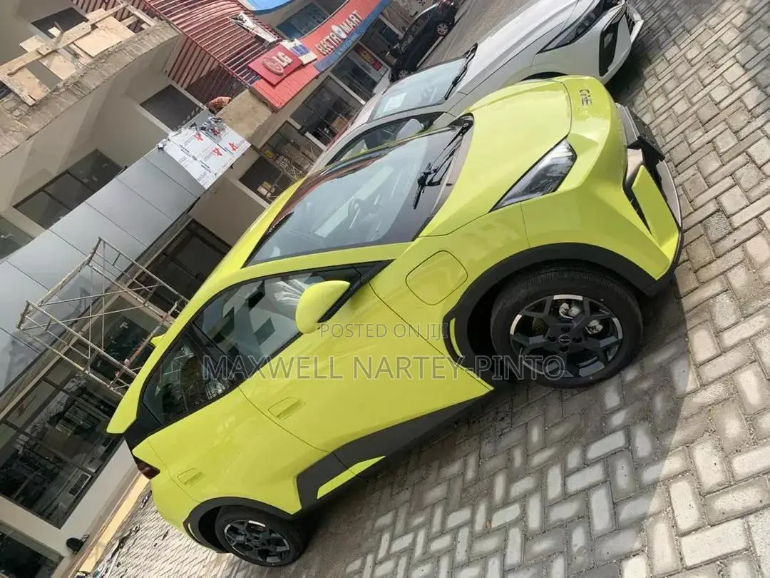 New BYD Seagull 2025 Green