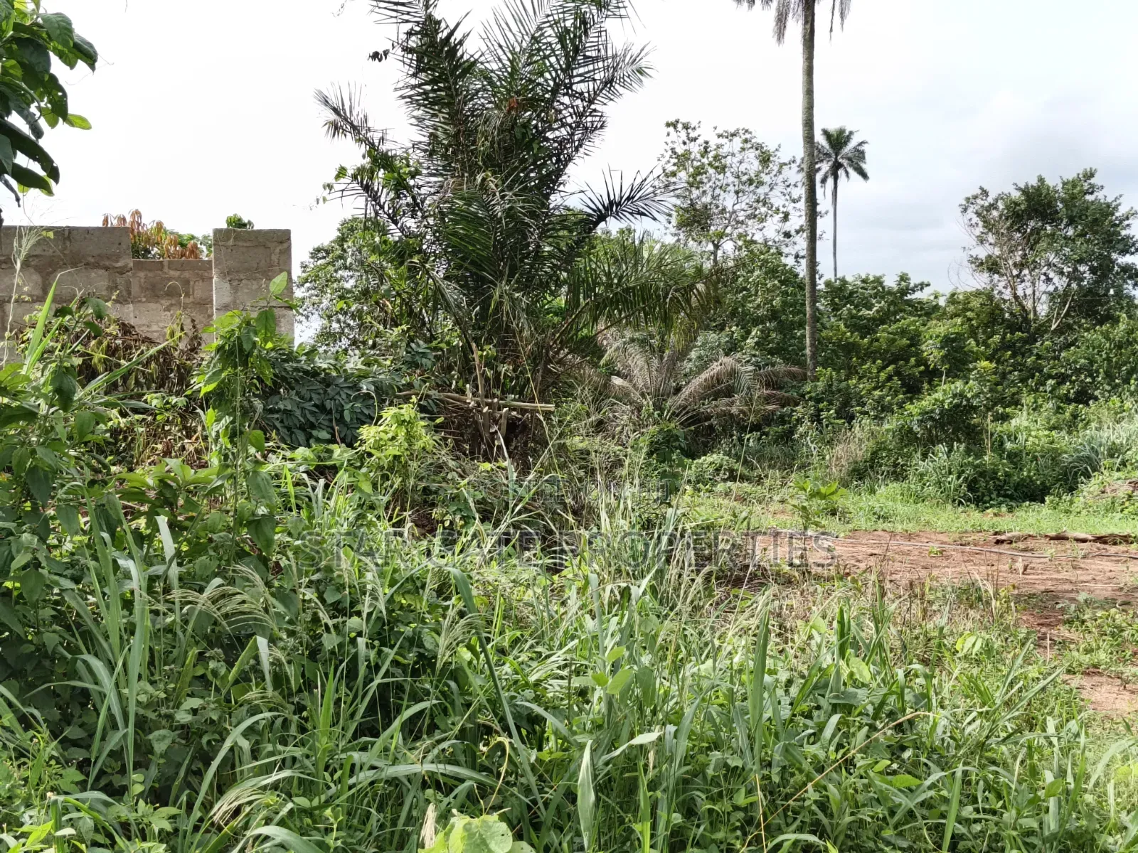 Plot for Sale at Asonomaso ( Sarfo) Near Mampongteng