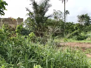 Plot for Sale at Asonomaso ( Sarfo) Near Mampongteng