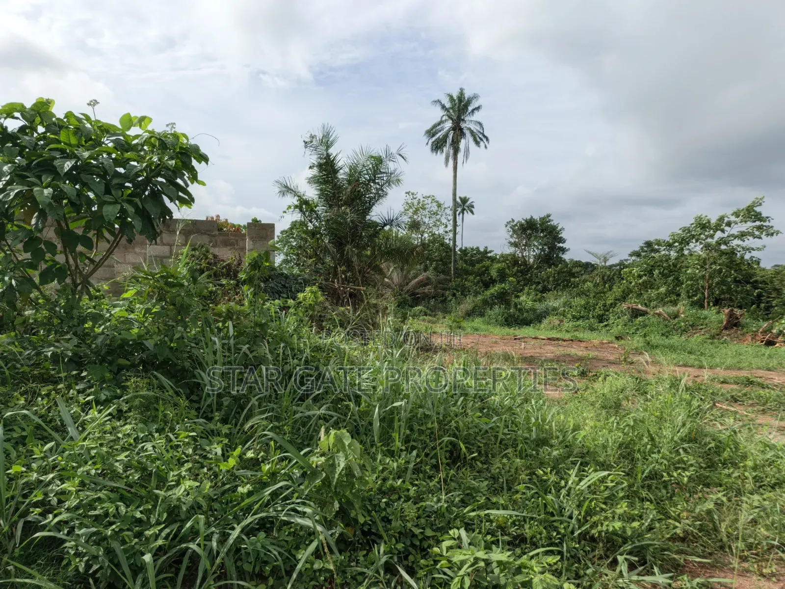 Plot for Sale at Asonomaso ( Sarfo) Near Mampongteng
