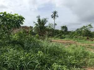 Plot for Sale at Asonomaso ( Sarfo) Near Mampongteng