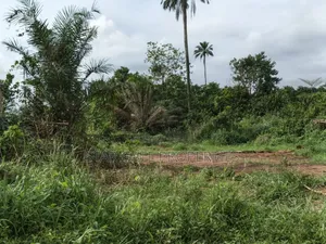 Plot for Sale at Asonomaso ( Sarfo) Near Mampongteng
