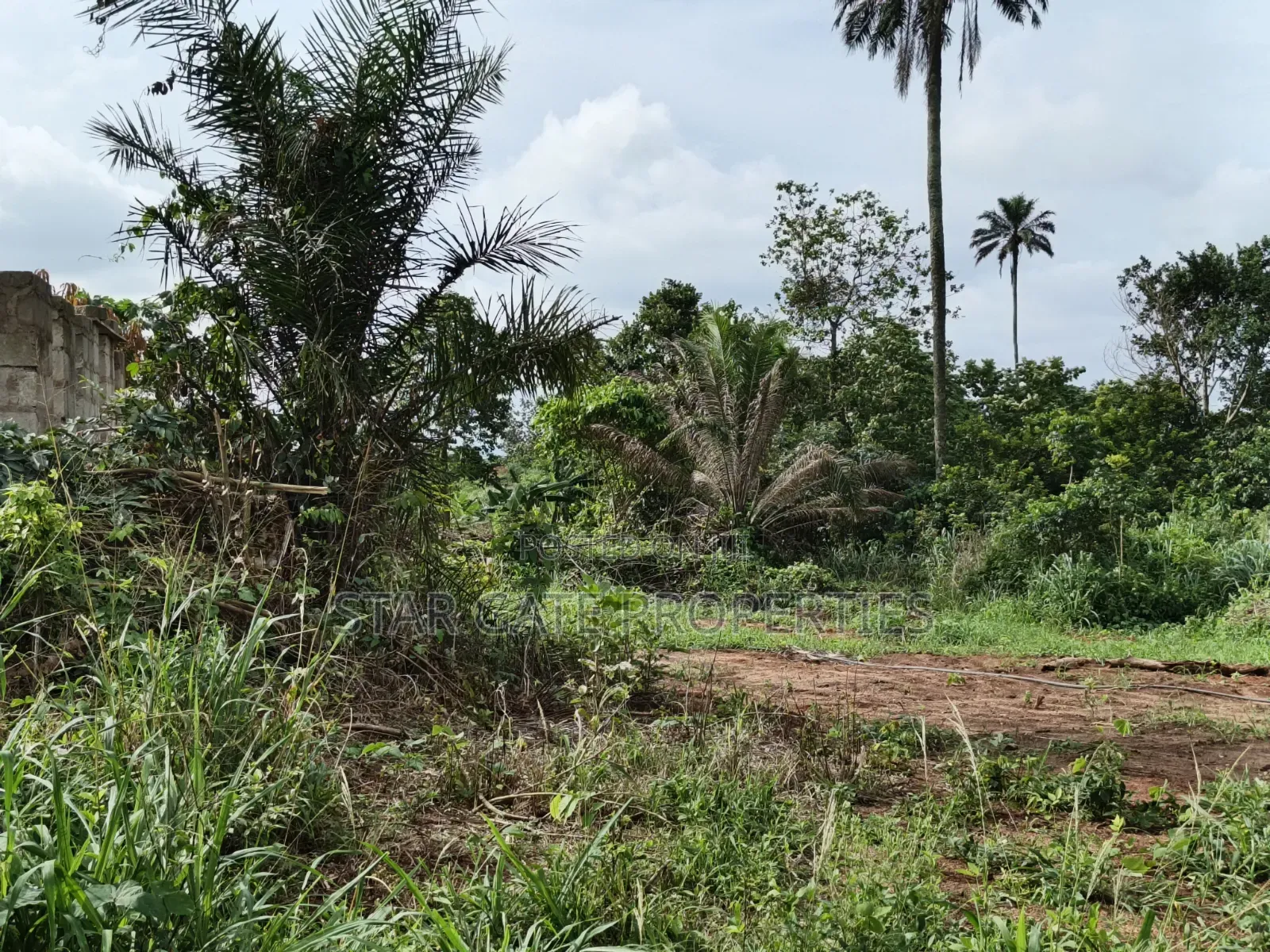 Plot for Sale at Asonomaso ( Sarfo) Near Mampongteng