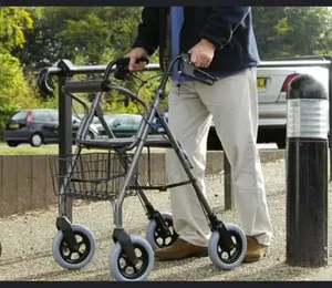 Rollator Walker (With Back Rest)