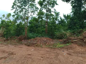 Full Plot at Ejisu Kwaso 100*80 the Plot Is Behind the Foundation