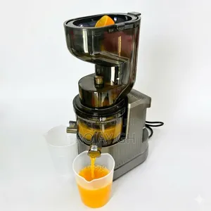 High Performance Gold Press Slow Juicer - Silver