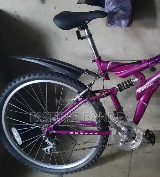 Absorbed Mountain Bike Size 26