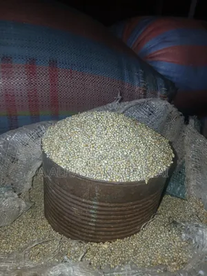 Cereals and Grain
