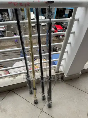 Double Strength,Double Style (Extendable Curtains Rods