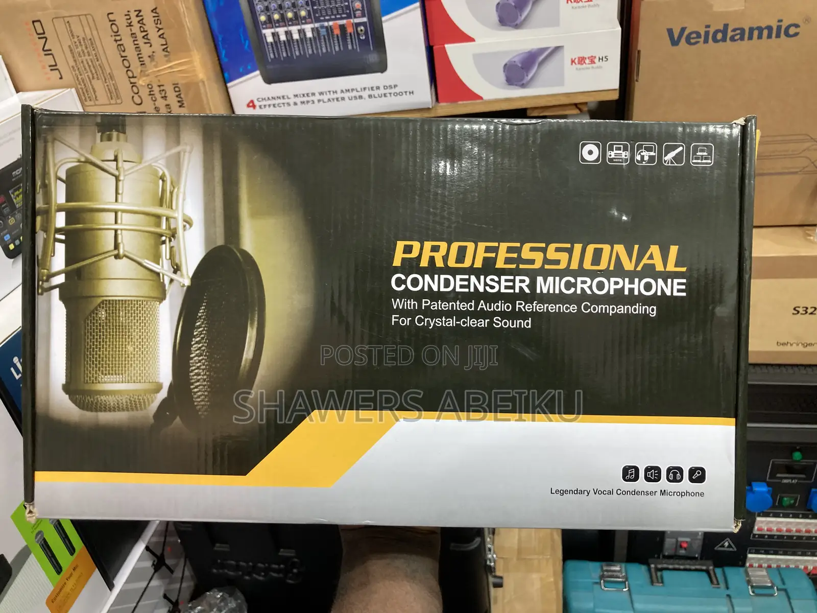 Professional Condenser Microphone