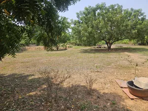 50 Acres of Title Land for Sale at Afienya