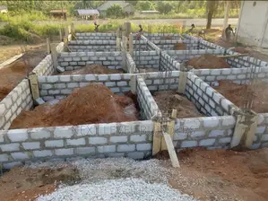 Professional Building Contractor
