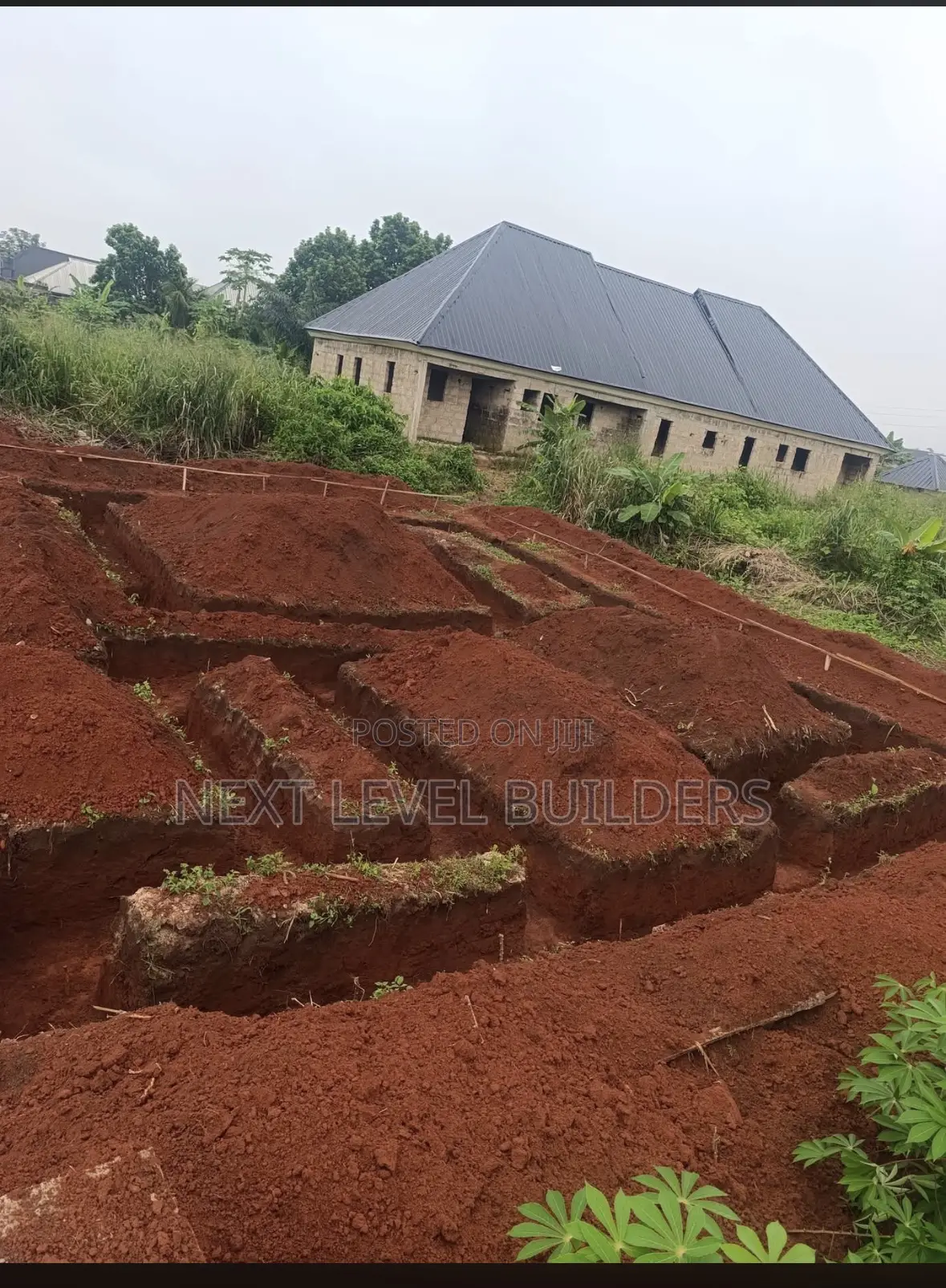Professional Building Contractor