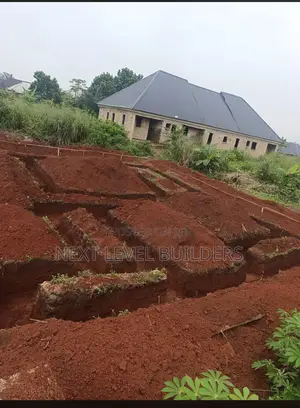 Professional Building Contractor