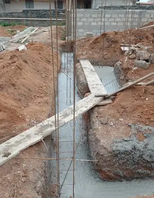 Professional Building Contractor