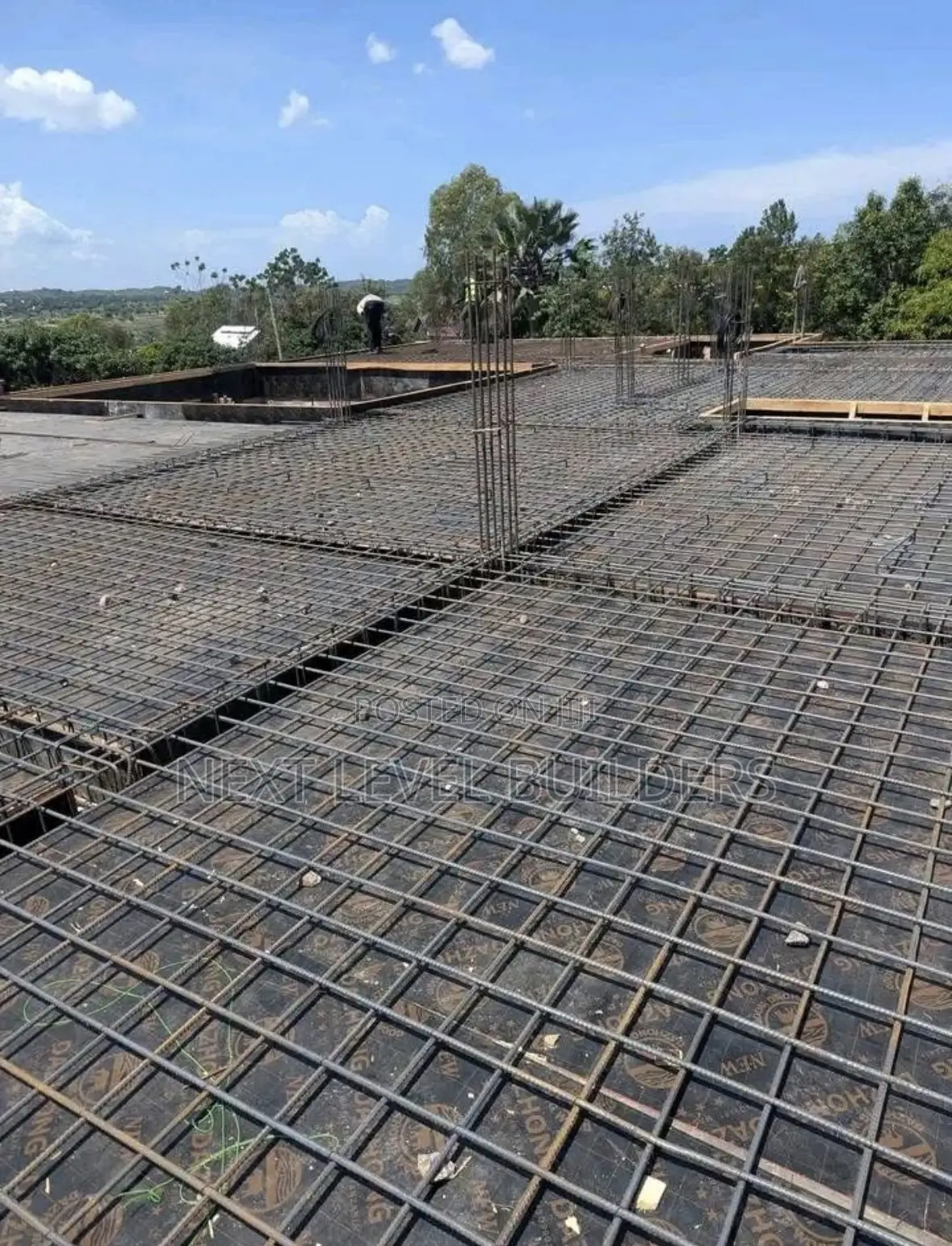 Professional Building Contractor