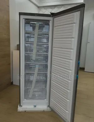 Nasco 166ltrs Standing Freezer