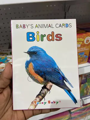 Parent-Child Interactive Educational Toy, Early Education Flash Card
